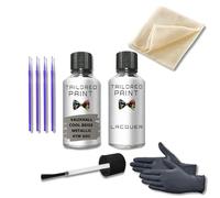Kit di vernice per ritocchi e graffi per Opel Cool Beige Metallico 41 W Gdc (vernice per ritocchi + lacca)