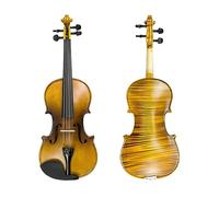 Kit Di Violino Per Studenti In Legno Massello Fatto A Mano 4/4 Violino Acustico Con Custodia Per Tracolla A Triangolo In Legno Brasiliano 4/4