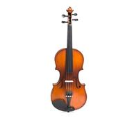 Kit Di Violino Professionale Pratica Di Test Delle Prestazioni Del Violino In Legno Massello 4/4 Strumento Musicale Occidentale Con Asciugatura All'aria Naturale Con Custodia Per Violino Triangolare(1