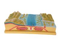 Kit di Visualizzazione Del Modello di Tettonica a Placche di Plastica Giocattolo