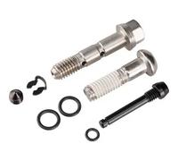 Kit di viti e bulloni Sram Level T - (Visses, Bleed Screw, Pad Pin]] Argenté
