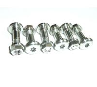 Kit Di Viti E Dadi In Titanio Triumph Daytona 595/955 6 Pezzi Senza Ruggine Gara