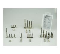 Scar Stimengte250i Engine Screw Kit Argento