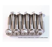 Kit Da Bulloni per Motore SCAR Titanio per Moto Ricariche