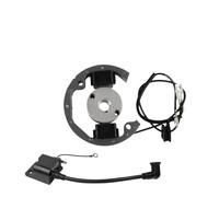 Kit di volano rotore a bobina di accensione kit di volano Magneto Adatto KTM50 50 SX 50cc Motore compatibile con modelli di avventura SR JR JR SX50 Pro Senior Junior