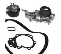 KIT DIST + PA DACIA-NIS. LCV-REN. C