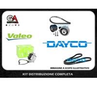 Cinghia a V CONTITECH 6PK1836