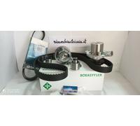 Kit distribuzione + cinghia servizi for Audi A4 avant (8W5,8WD,B9) 2.0 TDI