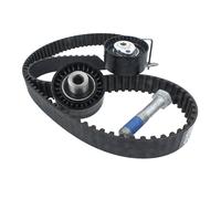 Set di cinghie di distribuzione INA 530 0449 10
