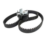 Ina 530049510 Kit Tendicinghia