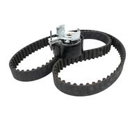 Kit cinghia distribuzione 530 0495 10 INA per FORD MAZDA VOLVO