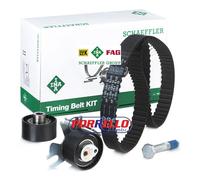 Set di cinghie di distribuzione INA 530 0449 10