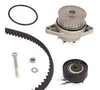 KIT DISTRIBUZIONE CON POMPA ACQUA GRAF METELLI KP603-3