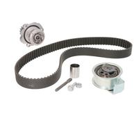 KIT DISTRIBUZIONE CON POMPA ACQUA INA 530009130