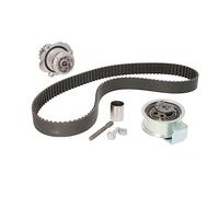 Pompa dell'acqua + kit cinghia di distribuzione INA 530 0091 30