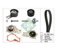 Kit Distribuzione Con Pompa Acqua Ina 530037530