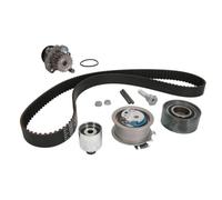 Pompa dell'acqua + kit cinghia di distribuzione INA 530 0463 30