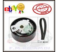 Set di cinghie di distribuzione INA 530 0142 10