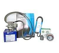 Pompa dell'acqua + kit cinghia di distribuzione INA 530 0201 32