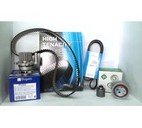 Pompa dell'acqua + kit cinghia di distribuzione INA 530 0201 32