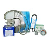 Pompa dell'acqua + kit cinghia di distribuzione INA 530 0201 32