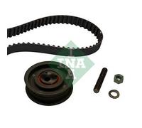 KIT DISTRIBUZIONE INA 530014910