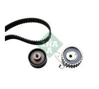 KIT DISTRIBUZIONE INA 530022510