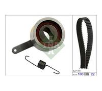 KIT DISTRIBUZIONE INA 530060010