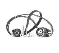 Kit Distribuzione INA - 530062410