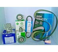 Pompa dell'acqua + kit cinghia di distribuzione INA 530 0463 30