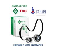 KIT DISTRIBUZIONE INA CITROEN / PEUGEOT 1.4 530033510