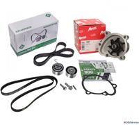 Kit Distribuzione INA + Pompa Acqua + Cinghia Servizi Opel Astra H 1.7 CDTi 74Kw