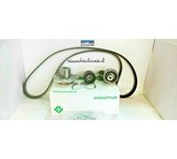 Kit distribuzione INA pompa acqua cinghia servizi per Alfa Romeo 147 GT 1.9 JTDM