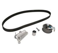 kit distribuzione ina volskwagen audi 530035910