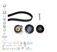 Ina 530044110 Kit Tendicinghia