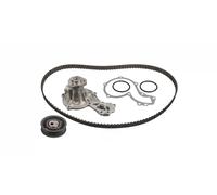FEBI BILSTEIN 172599 Kit cinghia distribuzione, pompa acqua