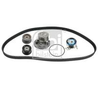 FEBI BILSTEIN 173195 Kit cinghia distribuzione, pompa acqua