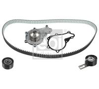 Kit distribuzione + pompa acqua 173201 FEBI BILSTEIN per CITROËN PEUGEOT FORD