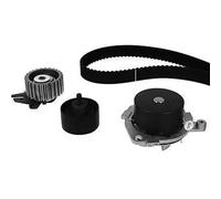 Kit distribuzione + pompa acqua 30-0631-1 METELLI per FIAT ALFA ROMEO