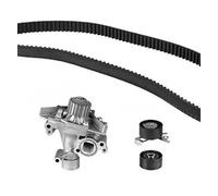 METELLI Pompa Acqua + Dentate per Peugeot 206 Cc 2D 307 3B 3E Citroen