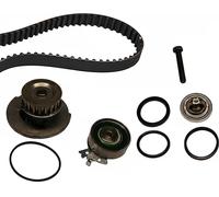 Pompa dell'acqua + kit cinghia di distribuzione INA 530 0004 31