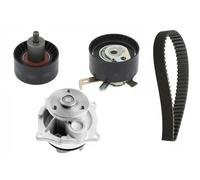 INA 530 0066 30 Kit cinghia distribuzione, pompa acqua