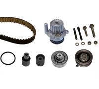 INA 530 0082 30 Kit cinghia distribuzione pompa acqua per VW Bora Variant (1J6)