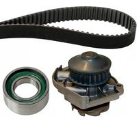 INA 530 0205 30 Kit cinghia distribuzione pompa acqua N° denti: 24 24 mm