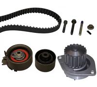 INA Pompa dell'acqua e kit cinghia di distribuzione 530 0237 30 – 19 denti, 31 mm