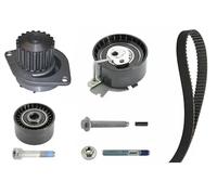 INA 530 0379 30 Kit cinghia distribuzione pompa acqua N° denti: 19 30 mm