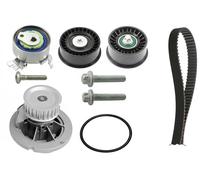 Ina 530044130 Kit Tendicinghia