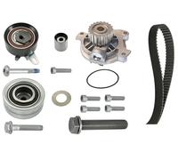 Pompa dell'acqua + kit cinghia di distribuzione INA 530 0482 30