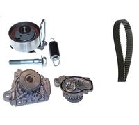 Pompa dell'acqua + kit cinghia di distribuzione INA 530 0505 31