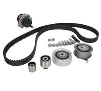 Kit distribuzione + pompa acqua 530 0550 32 INA per VW SEAT SKODA AUDI